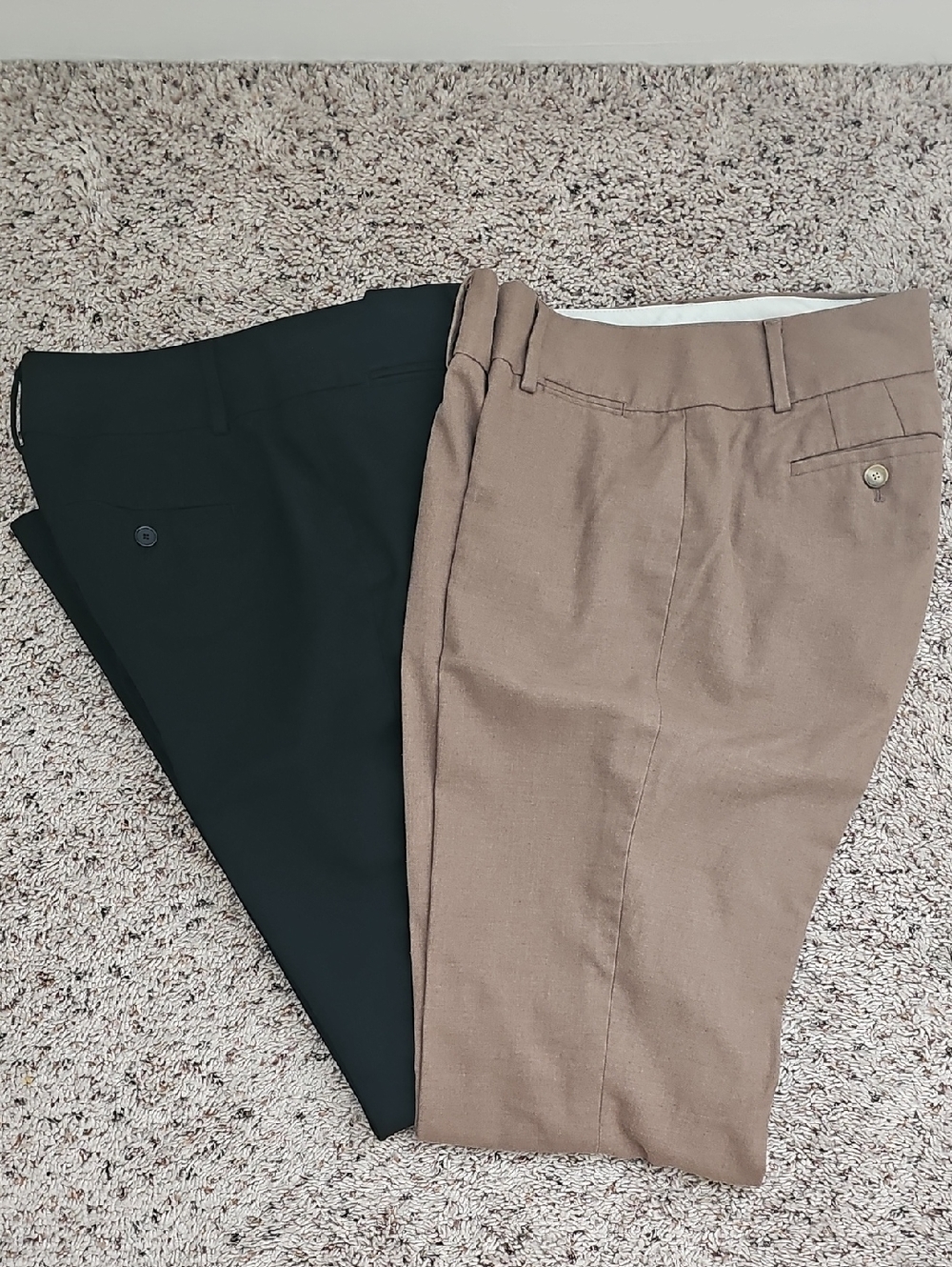Women's Classic Loft Dress Pants in Black and Brown
